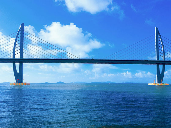 海上觀港珠澳大橋，邂逅中華白海豚